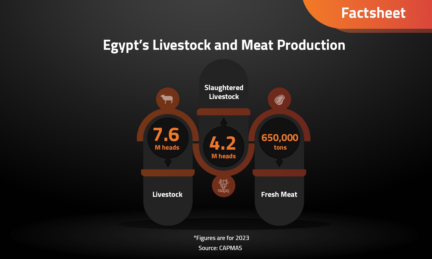 A Snapshot of Egypt’s Livestock and Meat Market

